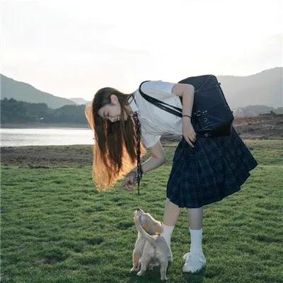 最爱喵星人:我猫威武
